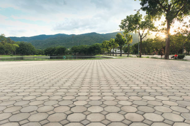Best Residential Driveway Paver Services  in Wayland, MI