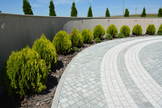 Best Decorative Driveway Pavers  in Wayland, MI
